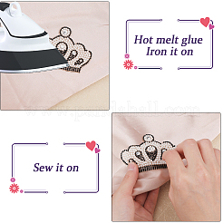 13Pcs 13 Style Crown Shape Hotfix Rhinestone&nbsp;DIY-CA0005-48
