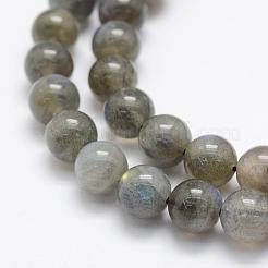 Natural Labradorite Beads Strands&nbsp;G-P322-31-8mm