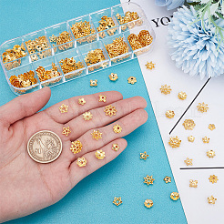 240Pcs 12 Styles Alloy Beads Caps&nbsp;FIND-UN0015-69