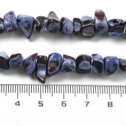Dyed Natural Trochus Shell Beads Strands&nbsp;BSHE-Z006-01C