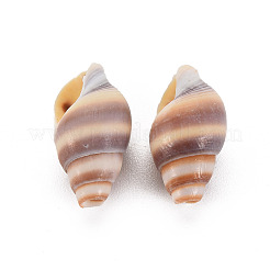 Natural Spiral Shell Beads&nbsp;LS-SSHEL-T014-46