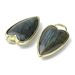 Natural Labradorite Pendants&nbsp;G-O204-02F