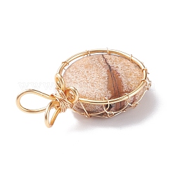 Natural Gemstone Pendants&nbsp;PALLOY-JF01420