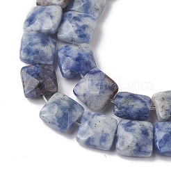 Natural Blue Spot Jasper Beads Strands&nbsp;G-K359-B19-01