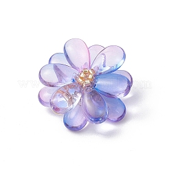 Transparent Glass Pendants&nbsp;PALLOY-MZ00723-10