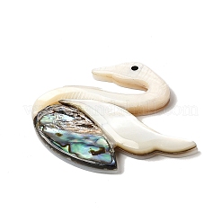 Natural Freshwater Shell & Paua Shell & White Shell Cabochons&nbsp;SHEL-C009-02