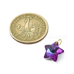 Electroplated Glass Charms&nbsp;PALLOY-JF03060