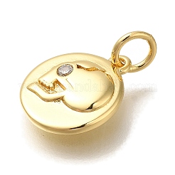 Rack Plating Brass Micro Pave Cubic Zirconia Charms&nbsp;KK-I720-42G