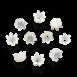Natural White Shell Bead Caps&nbsp;SSHEL-N032-58B