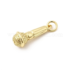 Brass Pendants&nbsp;KK-I364-13G