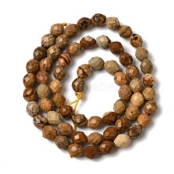 Natural Picture Jasper Beads Strands&nbsp;G-K376-F10-01