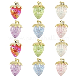 Transparent Acrylic with Alloy Pendants&nbsp;TACR-YW0003-14A