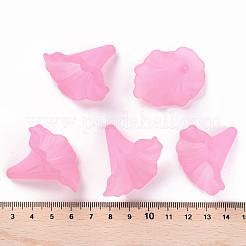 Transparent Acrylic Beads&nbsp;BSF796-C10
