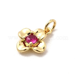 Brass Micro Pave Cubic Zirconia Charms&nbsp;KK-A266-35G