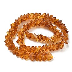 Natural Amber Beads Strands&nbsp;G-K376-C03-01