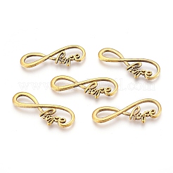Tibetan Style Alloy Infinity with Hope Links connectors&nbsp;LS-TIBE-S230-AG-FF