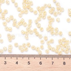 Glass Seed Beads&nbsp;SEED-XCP0001-01