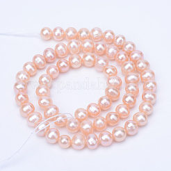 Natural Cultured Freshwater Pearl Beads Strands&nbsp;PEAR-R063-39B