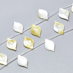 Natural Yellow Shell Pendants&nbsp;SSHEL-N036-019