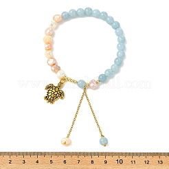 Alloy Charm Bracelets&nbsp;BJEW-JB13982-01