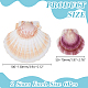 2 Styles Natural Shell&nbsp;SSHEL-WR0001-06A-2