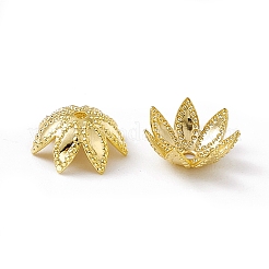 Brass Beads Caps&nbsp;KK-A172-10G