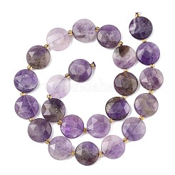 Natural Amethyst Beads Strands&nbsp;G-A292-A08-01
