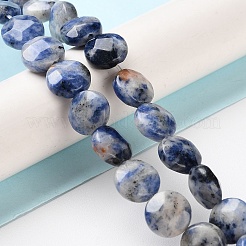 Natural Blue Spot Jasper Beads Strands&nbsp;G-K357-B14-01