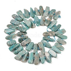 Natural Amazonite Beads Strands&nbsp;G-P619-A04-01