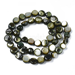 Natural Trochid Shell/Trochus Shell Beads Strands&nbsp;SHEL-S258-083-B01