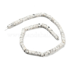 Natural Howlite Beads Strands&nbsp;G-Q1008-B17