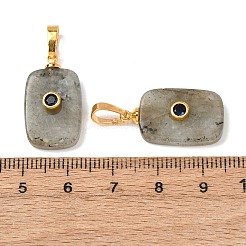Natural Labradorite Pendants&nbsp;G-P628-01G-04