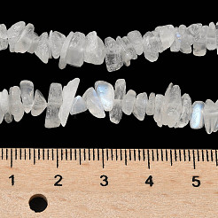Natural Rainbow Moonstone Chip Beads Strands&nbsp;X-G-C195-01