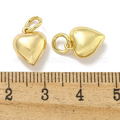 Rack Plating Brass Pendants&nbsp;KK-L075-012G-01