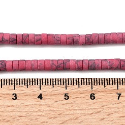 Dyed Synthetic Turquoise Beads Strands&nbsp;G-Z089-A04-I