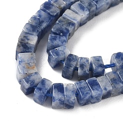 Natural Blue Spot Jasper Beads Strands&nbsp;G-I394-A08