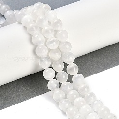 Natural Selenite Beads Strands&nbsp;X-G-G167-A01-01