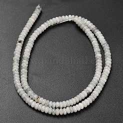 Natural Labradorite Beads Strands&nbsp;G-L635-A05-4x2mm