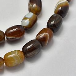 Natural Sardonyx Agate Beads Strands&nbsp;G-K208-37B