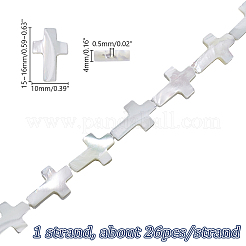 1 Strand Natural Trochid Shell/Trochus Shell Beads Strands&nbsp;SSHEL-GA0001-17