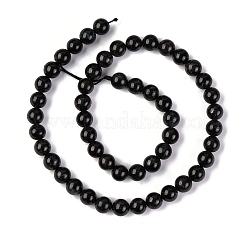 Natural Astrophyllite Beads Strands&nbsp;G-A202-01B