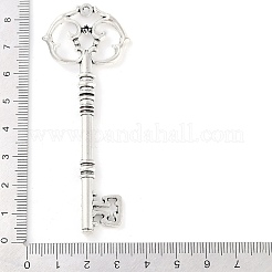 Tibetan Style Alloy Skeleton Key Big Pendants&nbsp;TIBEP-Q043-021-RS