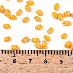 Baking Paint Glass Seed Beads&nbsp;SEED-T006-03N