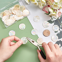 DIY Dangle Earring Making Kits&nbsp;DIY-CA0002-69