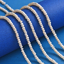 Natural Cultured Freshwater Pearl Beads Strands&nbsp;PEAR-L003-B-03