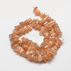 Natural Sunstone Chip Beads Strands&nbsp;G-E271-87