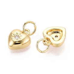 Brass Micro Pave Cubic Zirconia Charms&nbsp;ZIRC-R109-039-NF
