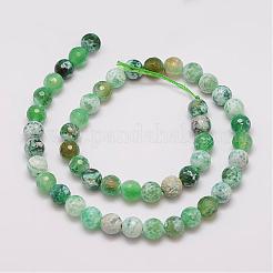 Natural Fire Crackle Agate Bead Strands&nbsp;G-G882-8mm-B01