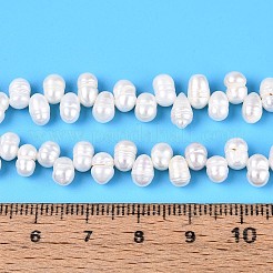 Natural Cultured Freshwater Pearl Beads Strands&nbsp;PEAR-T006-20