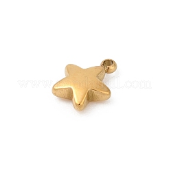 304 Stainless Steel Charms&nbsp;STAS-L283-08G